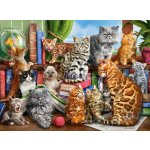 Castorland Kočky v domě 2000 dílků – Zboží Mobilmania