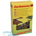 Lucky Reptile Earthworms 10 g – Zboží Mobilmania