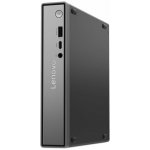 Lenovo ThinkCentre neo 55q 13GT000DCK – Zboží Mobilmania