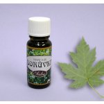 Saloos esenciální olej Borůvka 10 ml – Hledejceny.cz