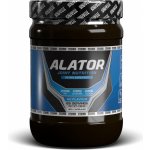 Titanus Alator 500 tablet – Hledejceny.cz