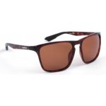 Shimano brýle Ultegra Tortoiseshell & Copper – Zboží Mobilmania