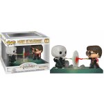 Funko Pop! Moment Harry Potter Harry vs. Voldemort 9 cm – Zbozi.Blesk.cz
