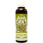 Naděje Zlatice mix tinktura speciální výluh z bylin 50 ml – Hledejceny.cz