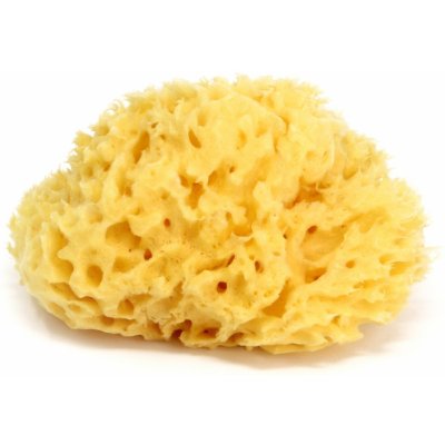 OK Baby mořská houba na mytí 12 honeycomb – Zboží Dáma OK Baby mořská houba na mytí 12 honeycomb – Zboží Dáma