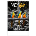 Nástěnný Helma Colour Art, 31,5 x 45 cm 2026 – Hledejceny.cz