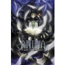 Hra na PC Anima: Gate of Memories