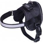 Nobby Seguro Mini bezpečnostní postroj pro psa – Zboží Dáma