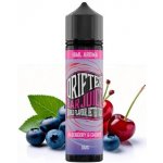 Juice Sauz Drifter Bar Shake & Vape Blueberry Cherry 16 ml – Zbozi.Blesk.cz