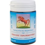 TCM Herbs Zkrocení teplokrevníka 100 tablet – Hledejceny.cz