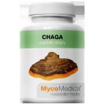 MycoMedica TCM Point 90 tablet – Hledejceny.cz
