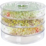 Multiflora biomiska na klíčení semen 20 x 16 cm čirá – HobbyKompas.cz