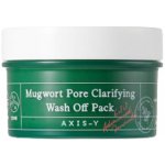 Axis y Mugwort Pore Clarifying Wash Off Pack 100 ml – Hledejceny.cz