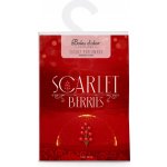 Boles d´olor vonný sáček velký papírový 12 x 7 cm Scarlet Berries – Hledejceny.cz
