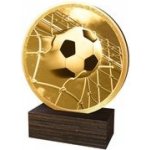 Poháry Bauer Dřevěná plaketa TFRW809 Fotbal – Sleviste.cz