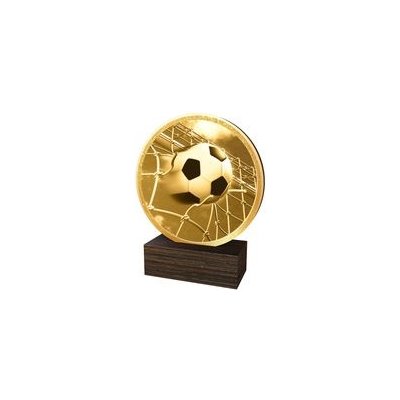Poháry Bauer Dřevěná plaketa TFRW809 Fotbal – Sleviste.cz