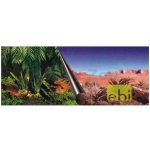 Duvo+ pozadí oboustranné Jungle / Desert 120 x 50 cm – Zboží Dáma