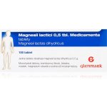 MAGNESII LACTICI 0,5 TBL. MEDICAMENTA POR 0,5G TBL NOB 100 – Zboží Mobilmania