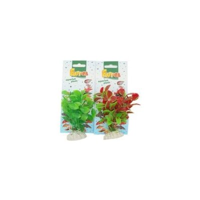 Tatrapet Ludwigia 10-12 cm 1x červená, 1x zelená – Zboží Mobilmania