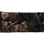 ATG pozadí Amazon 60 x 30 cm – Hledejceny.cz