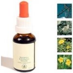 Bachovy kapky Strach 20ml – Hledejceny.cz