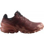 Salomon Speedcross 6 GTX W L47584300 rum raisin/barn red/canyon clay – Zboží Dáma