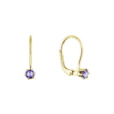 Evolution Group Pozlacené visací náušnice s Preciosa krystalem 31322.3 tanzanite – Zboží Mobilmania
