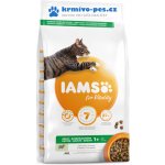 Iams Cat Adult Lamb 2 kg – Zboží Mobilmania