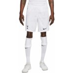 Pánské domácí šortky Nike Tottenham Hotspur 23/24