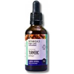 Botanicals for Life Extrakt z kurkumy 50 ml – Hledejceny.cz