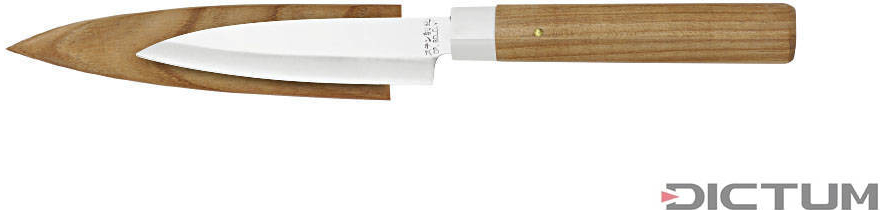 Dictum Japonský nůž Small Knife with Sheath Fruit Knife 100 mm