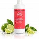 Wella Invigo Color Brilliance Color Protection Coarse Shampoo 1000 ml – Zboží Mobilmania