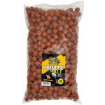 Carp Only Frenetic A.L.T. Chilli Mango 5 kg 24 mm – Zboží Mobilmania