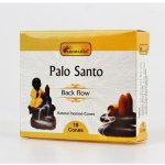 Ancient Wisdom Vonné kužely Aromatika Tekoucí kouř Palo Santo 10 ks – Zboží Dáma