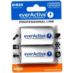 everActive professional line D 10000mAh 2ks EVHRL20-10000 – Zboží Živě