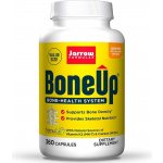 Jarrow Formulas BoneUp 360 kapslí – Hledejceny.cz
