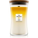 WoodWick Trilogy Fruits of Summer 275 g – Hledejceny.cz