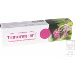 TRAUMAPLANT DRM UNG 100G – Sleviste.cz