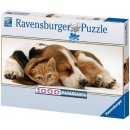 Ravensburger Nejlepší přítel 1000 dílků