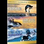 Zachraňte Willyho 1-3 DVD – Hledejceny.cz