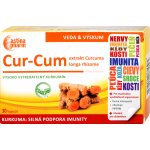 Astin Cur Cum 60 kapslí – Hledejceny.cz