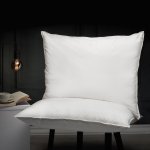 Polštáře a Peřiny.cz Péřový polštář Comfort bílá 50x70 – Sleviste.cz