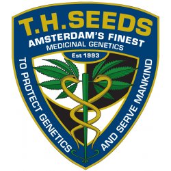 T.H. Seeds LA S.A.G.E. semena neobsahují THC 2 ks