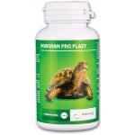 Univit Roboran pro plazy 100 g – Zboží Dáma