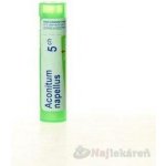 ACONITUM NAPELLUS POR 5CH GRA 1X4G – Hledejceny.cz
