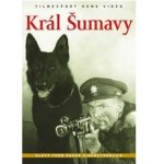 Král Šumavy DVD – Hledejceny.cz