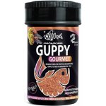 Haquoss Guppy Gourmet 100 ml – Zbozi.Blesk.cz