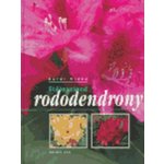 Stálezelené rododendrony – Hledejceny.cz