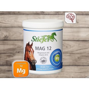 Stiefel Mag 12 Hořčík a vitamín B12 prášek 1 kg