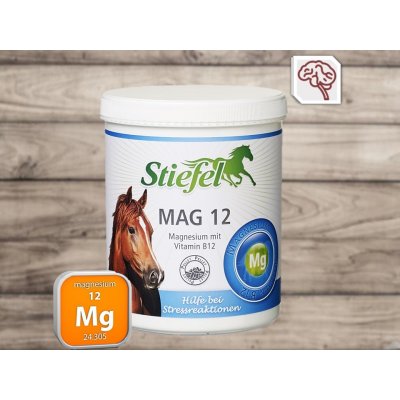 Stiefel Mag 12 Hořčík a vitamín B12 peletky 1 kg